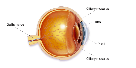 選手生命を脅かすゲームによるケガと病気 その予防法 Esports Esports Doga